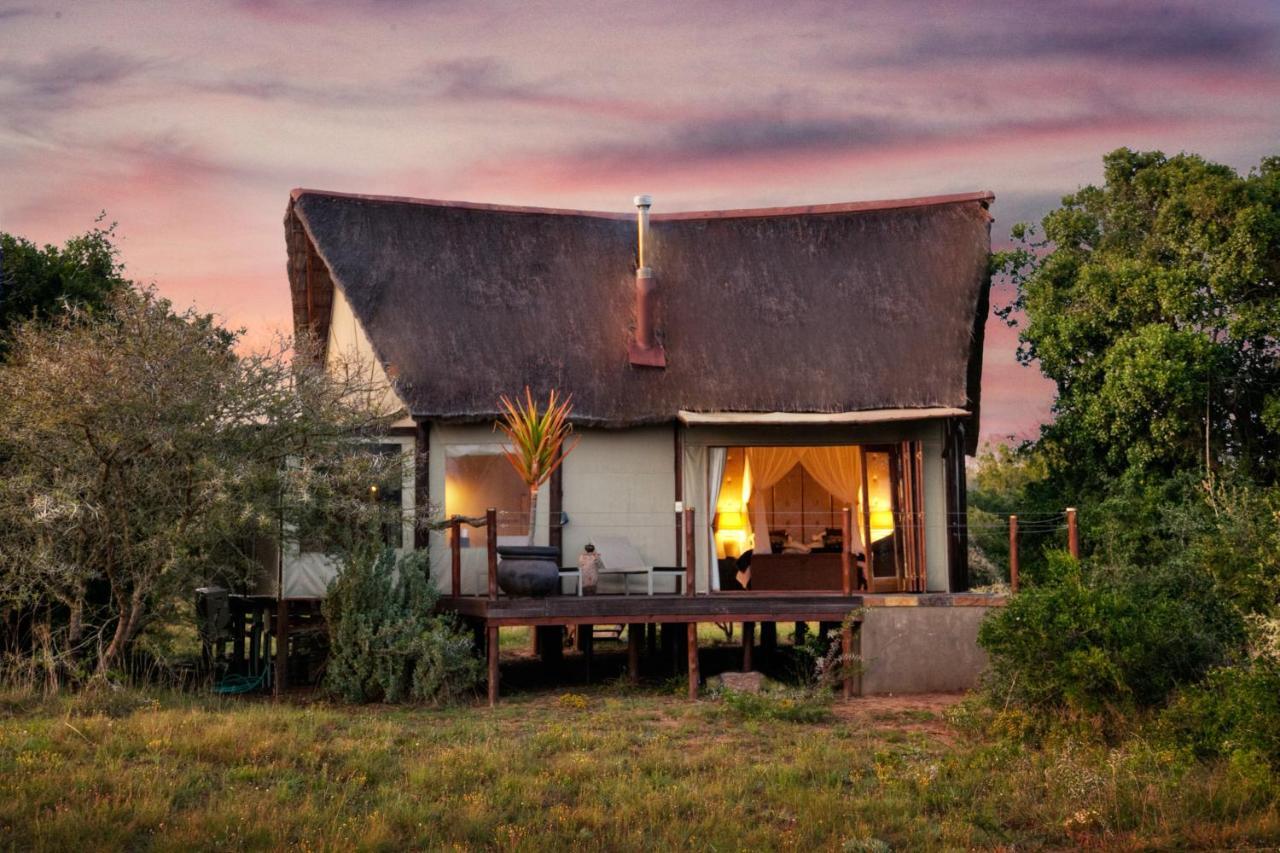 Bush Lodge - Заповедник Амакхала Экстерьер фото